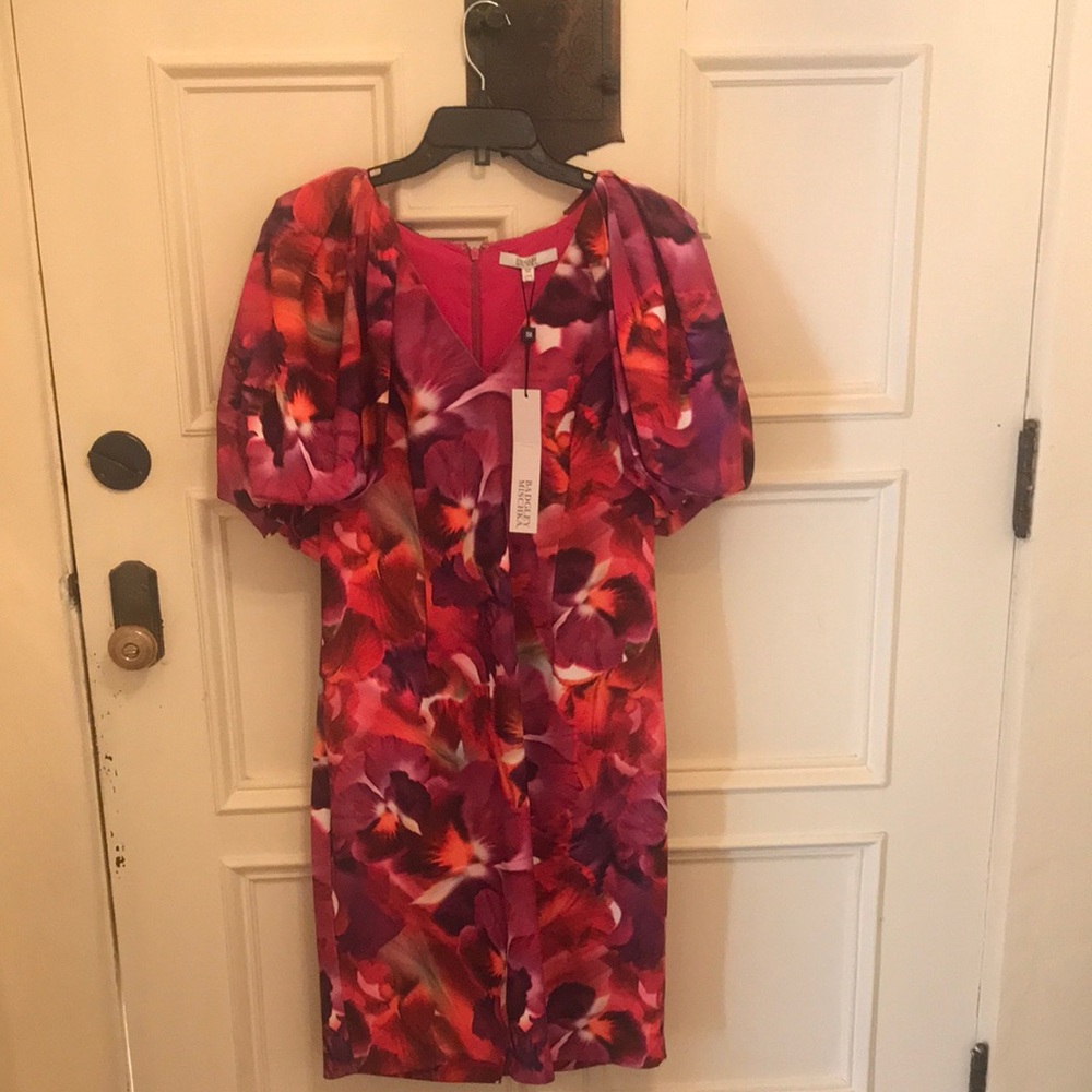Badgley Mischka Red and Purple Dress
